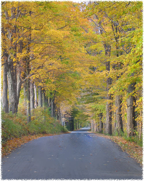 Fall In Litchfield County